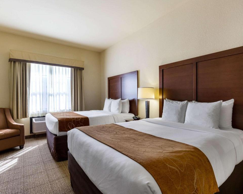 Comfort Suites Near Nasa - Clear Lake Webster Eksteriør billede