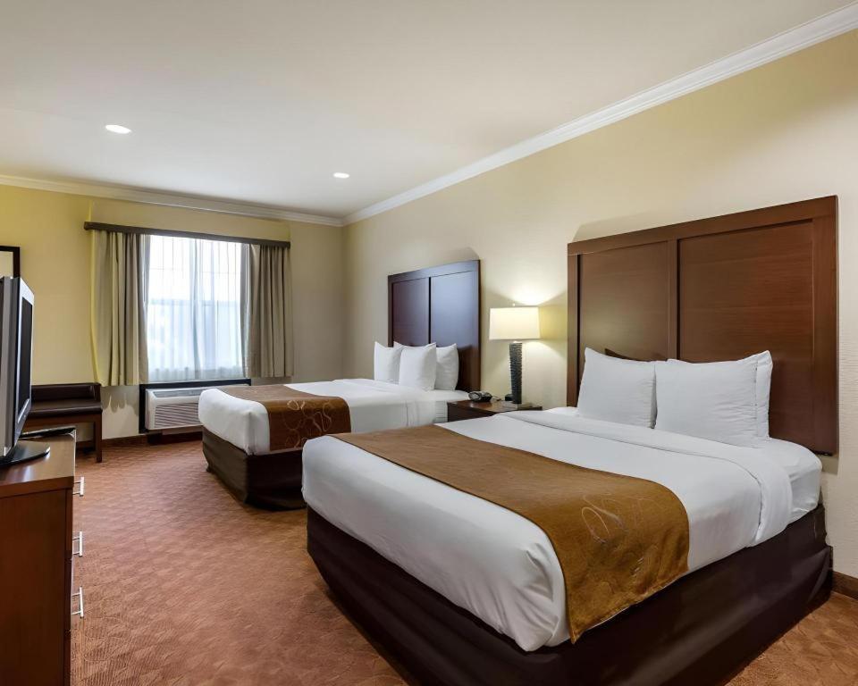 Comfort Suites Near Nasa - Clear Lake Webster Eksteriør billede
