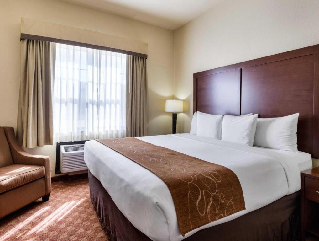 Comfort Suites Near Nasa - Clear Lake Webster Eksteriør billede