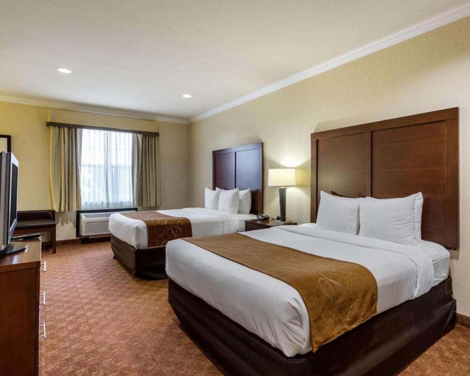 Comfort Suites Near Nasa - Clear Lake Webster Eksteriør billede